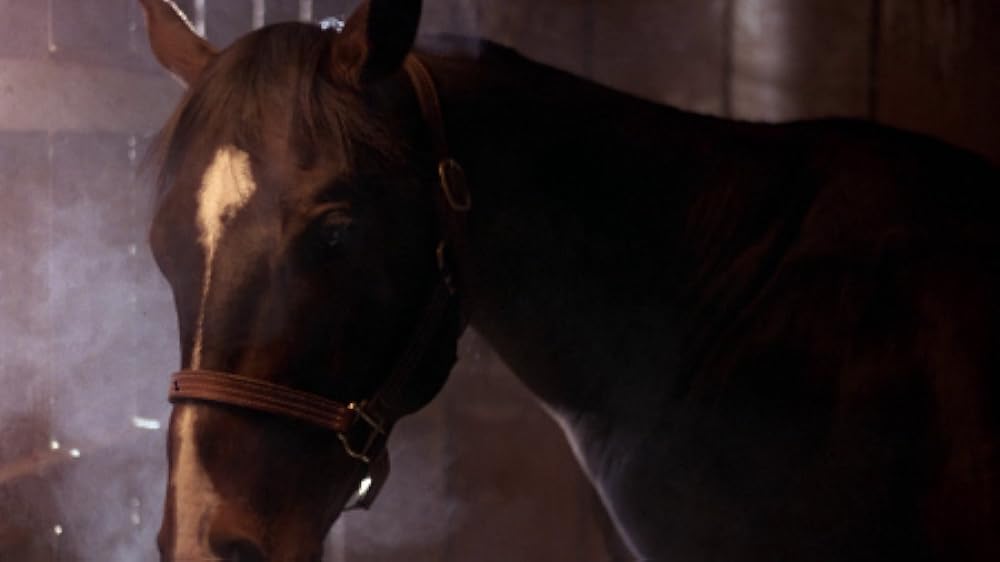 のるかそるかの画像