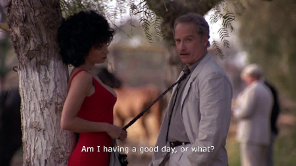 のるかそるかの画像