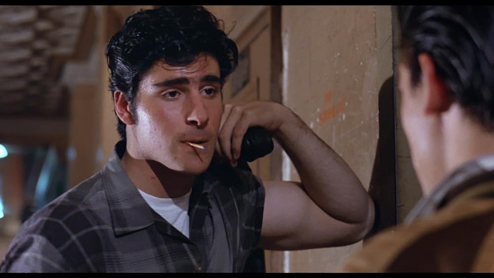 ワンダラーズの画像