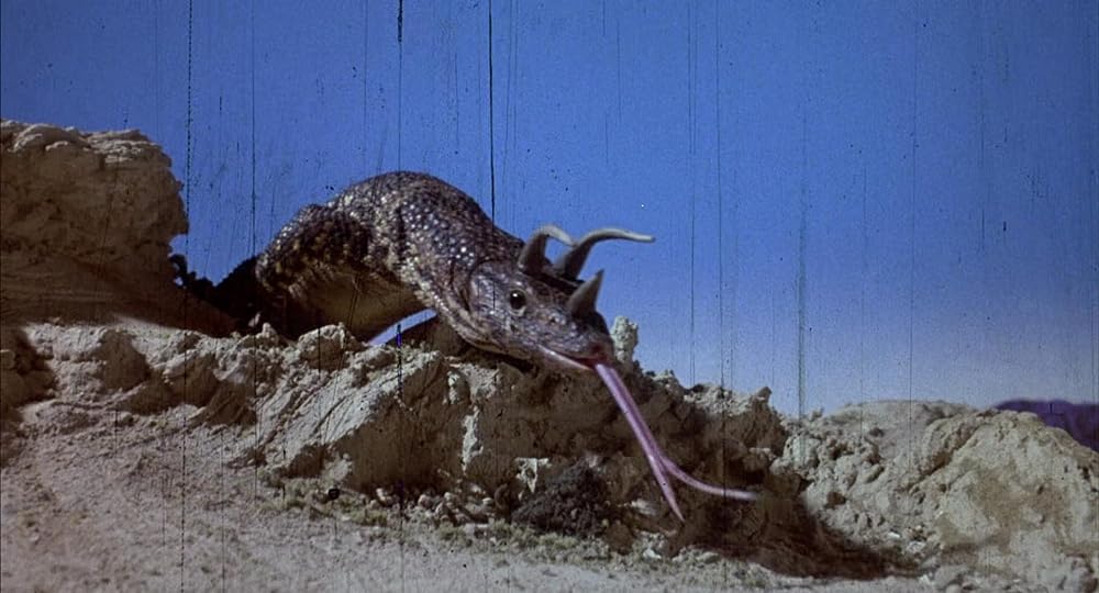 アメリカン・パロディ・シアターの画像