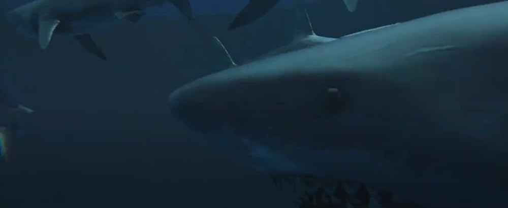 ウイルスシャークの画像