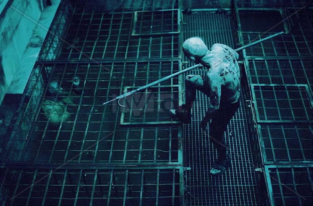 0:34 レイジ 34 フンの画像