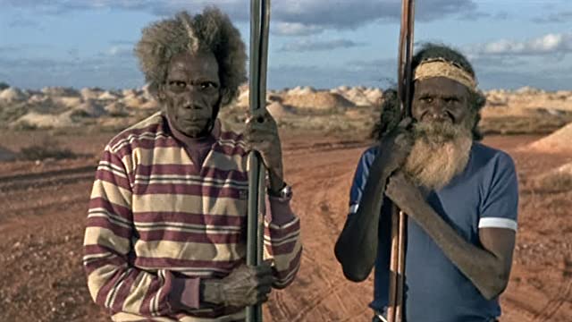 緑のアリが夢見るところの画像