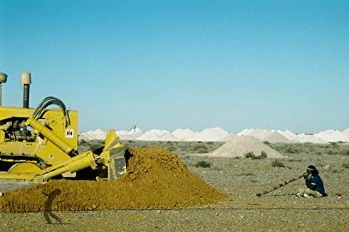 緑のアリが夢見るところの画像