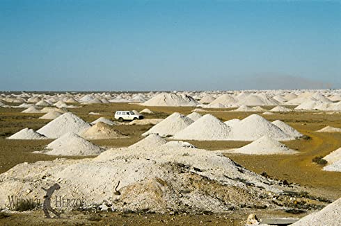 緑のアリが夢見るところの画像