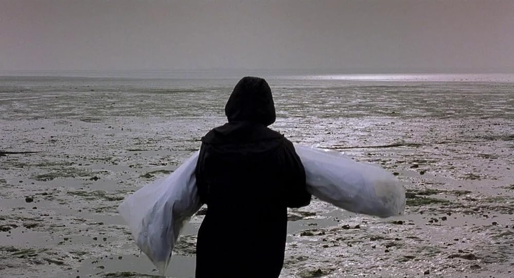 クロコダイルの涙の画像