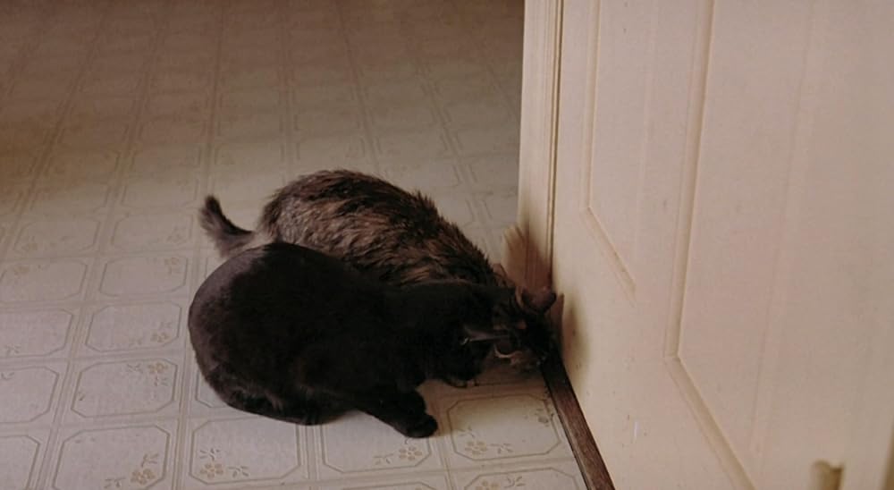 オフィスキラーの画像