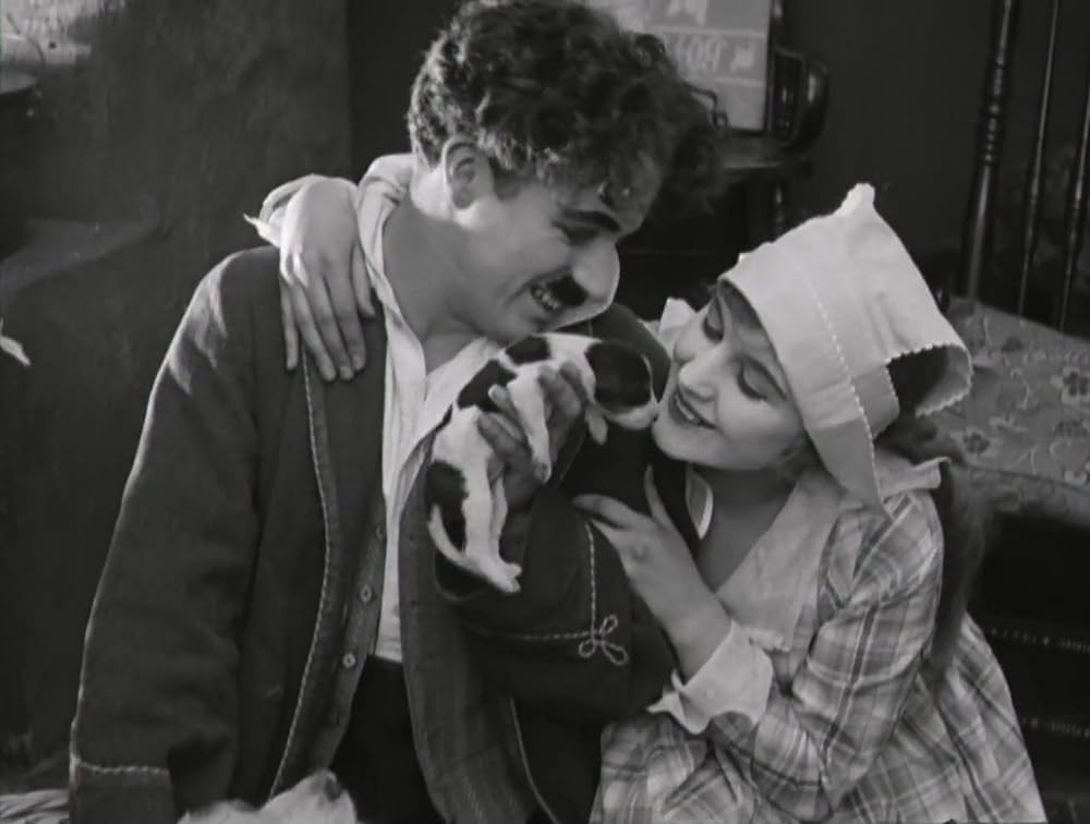 犬の生活の画像