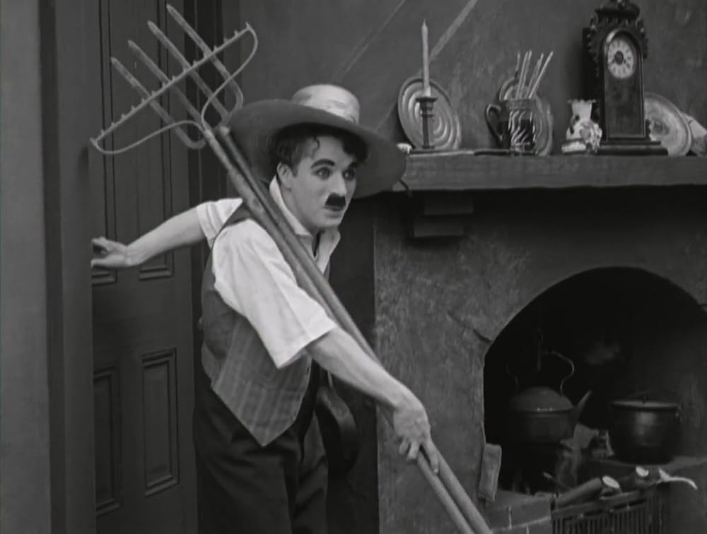 犬の生活の画像