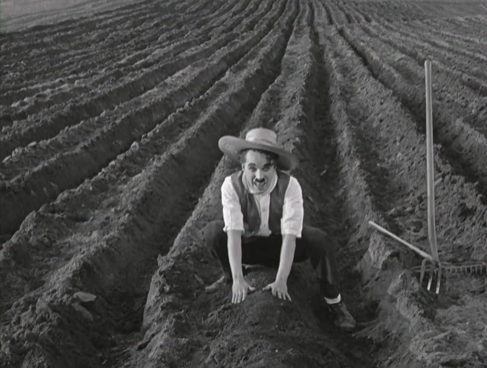 犬の生活の画像