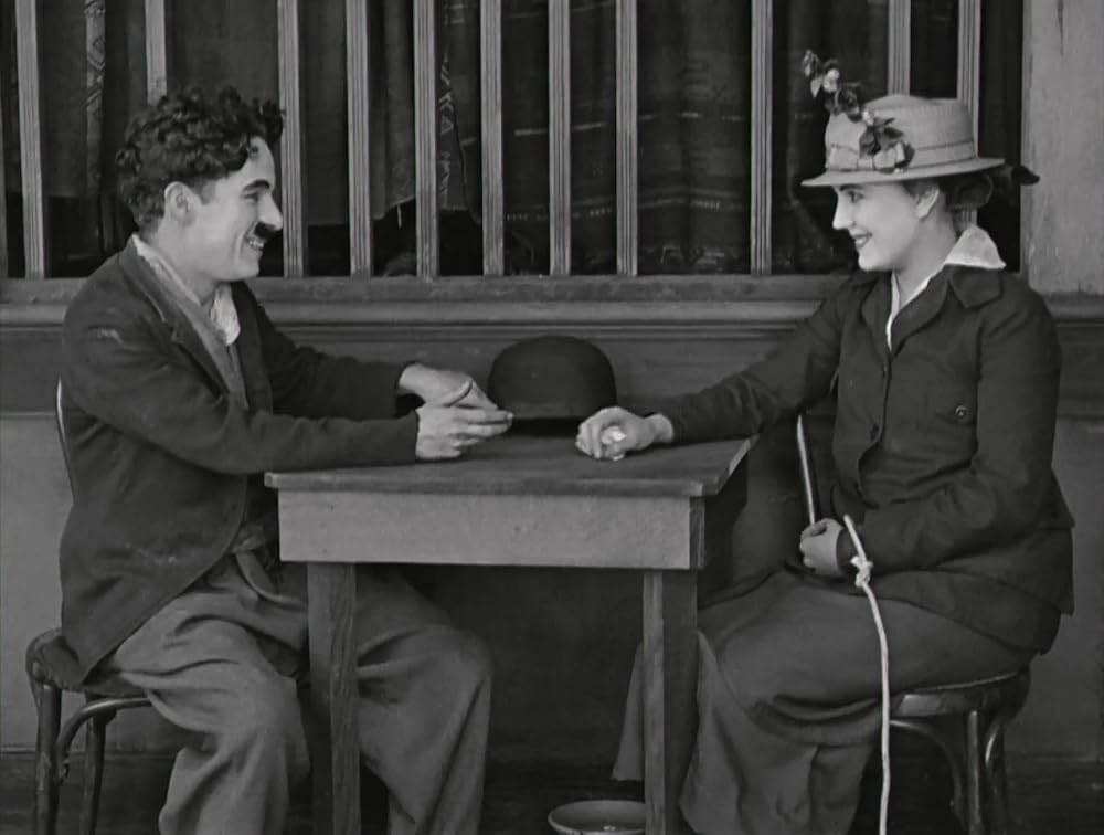 犬の生活の画像