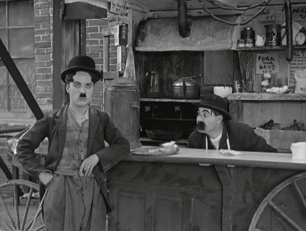 犬の生活の画像