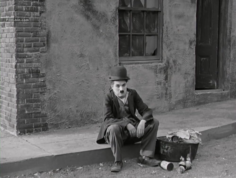 犬の生活の画像