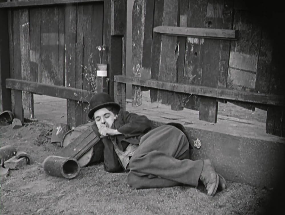 犬の生活の画像