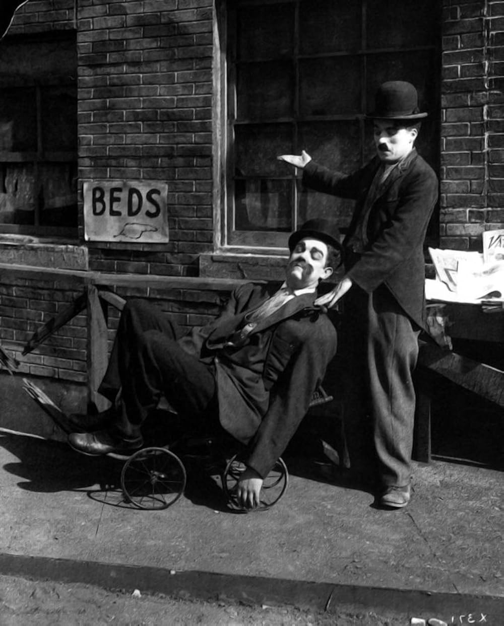 犬の生活の画像