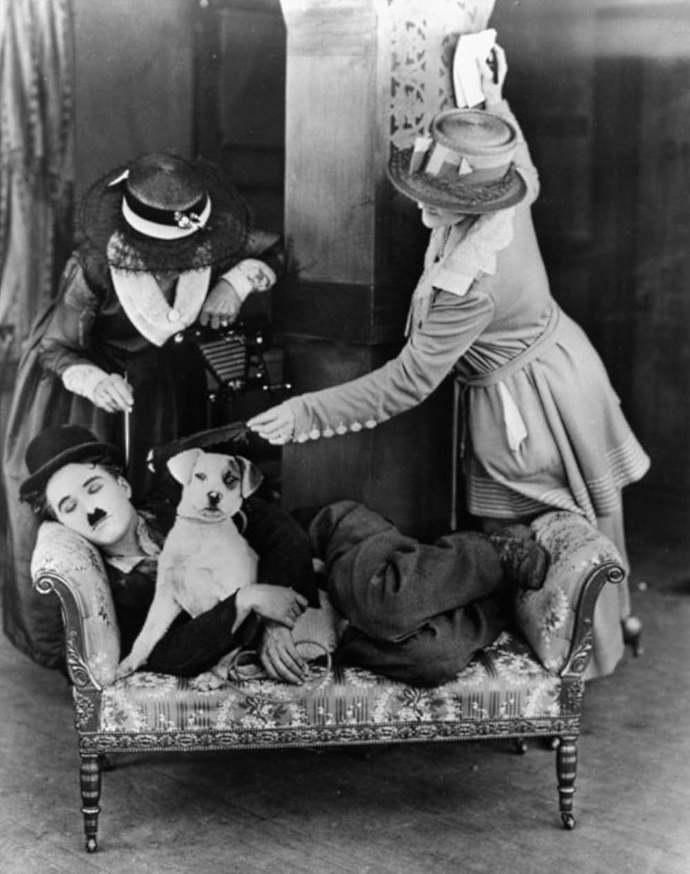 犬の生活の画像