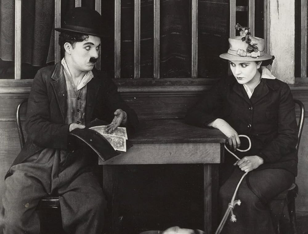 犬の生活の画像