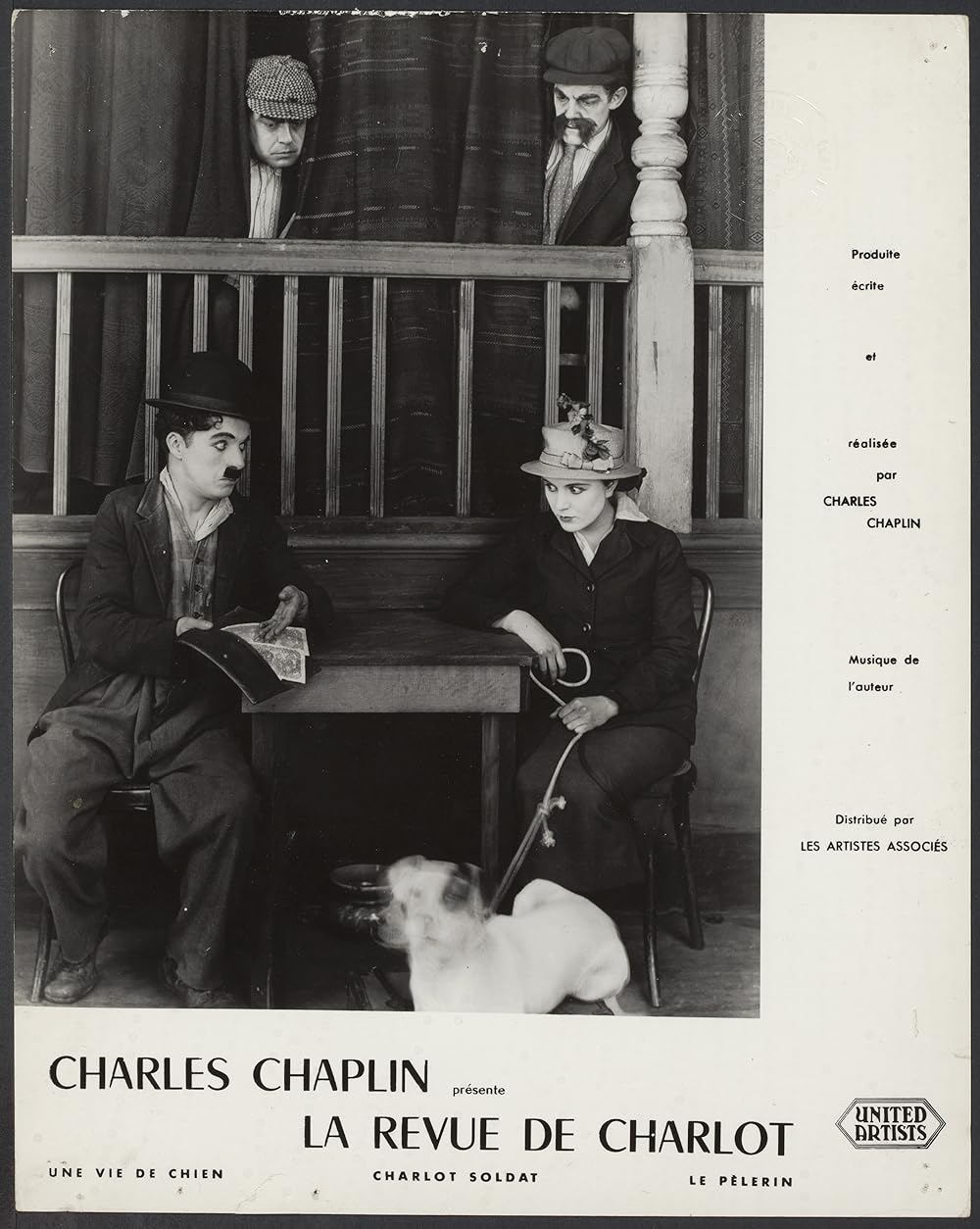 犬の生活の画像