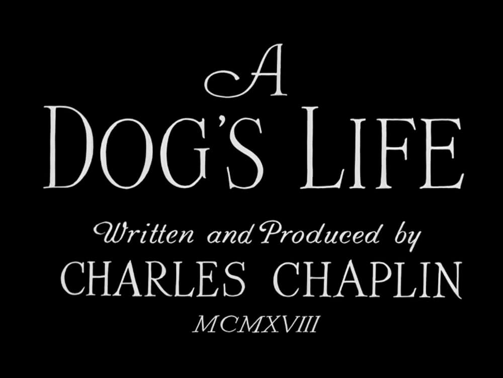 チャップリン・レヴューの画像