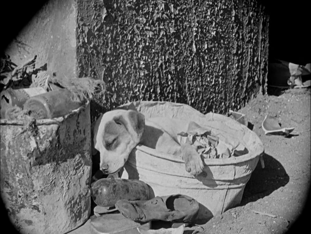 チャップリン・レヴューの画像