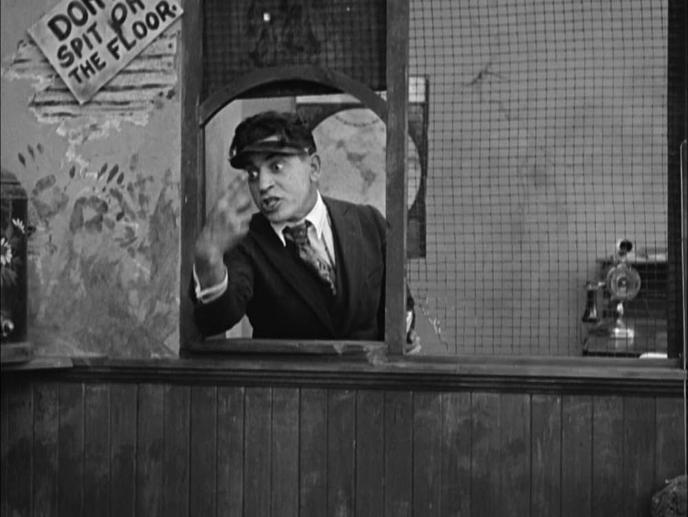 犬の生活の画像