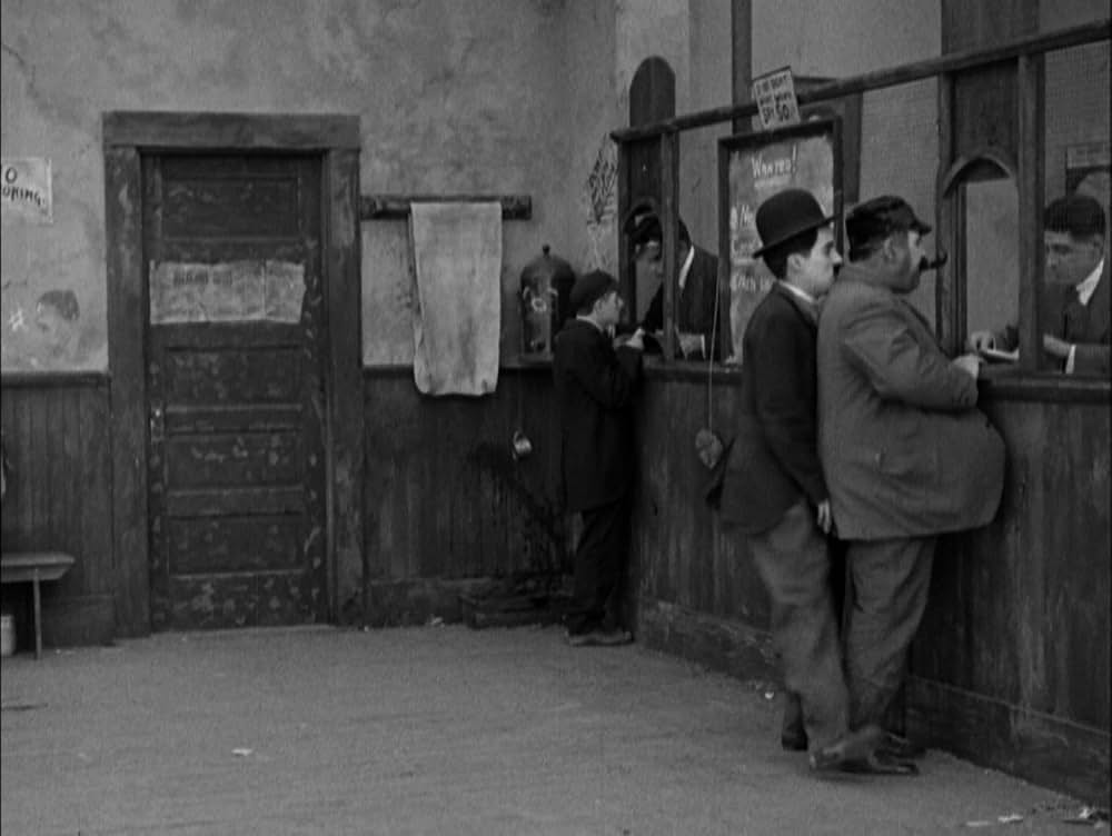 犬の生活の画像