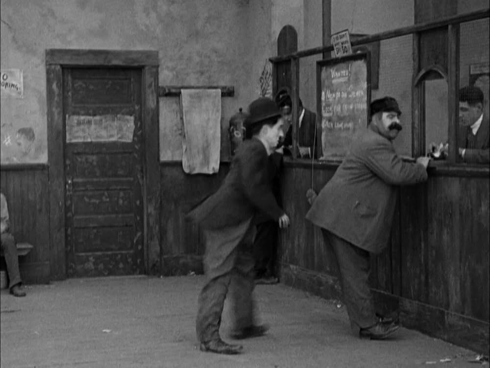 犬の生活の画像