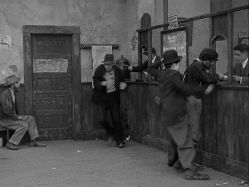 犬の生活の画像