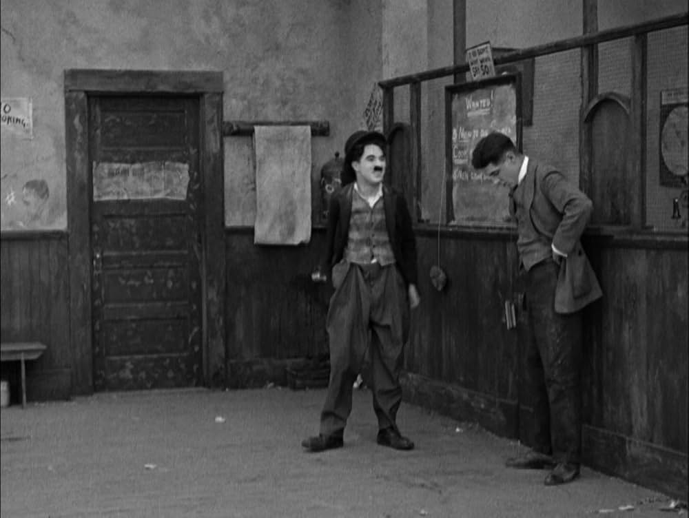 犬の生活の画像