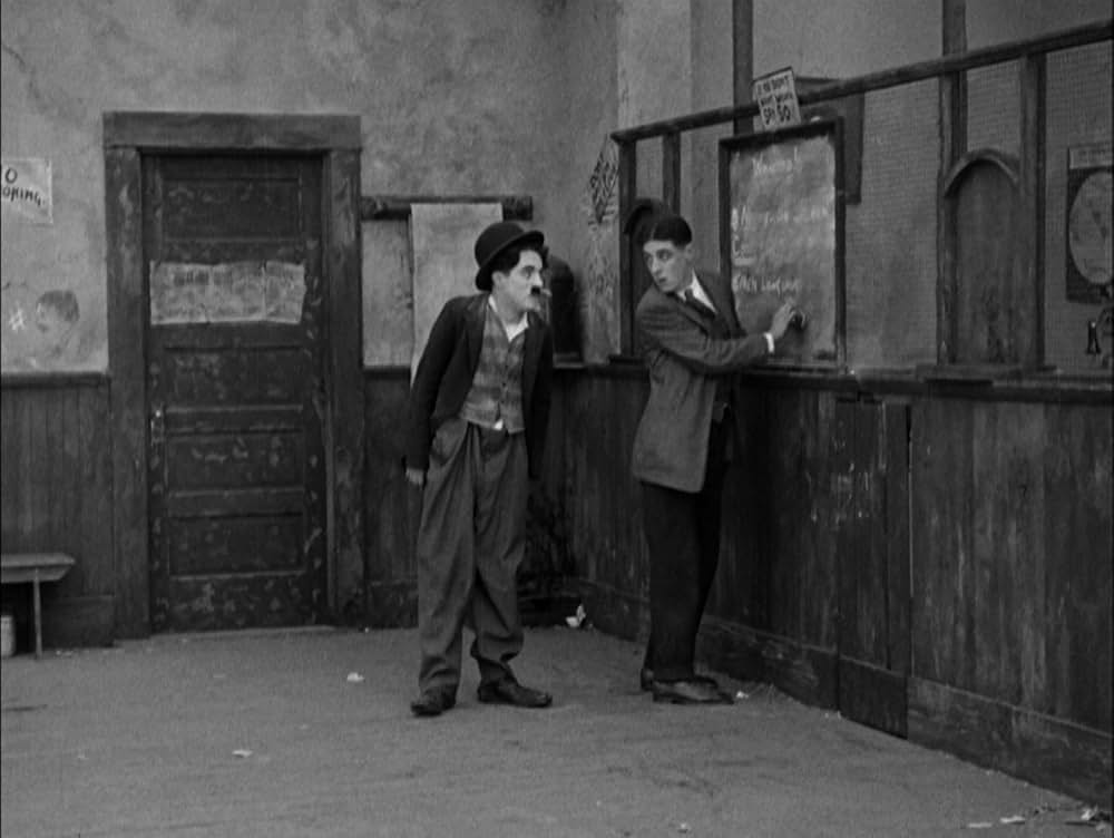 犬の生活の画像