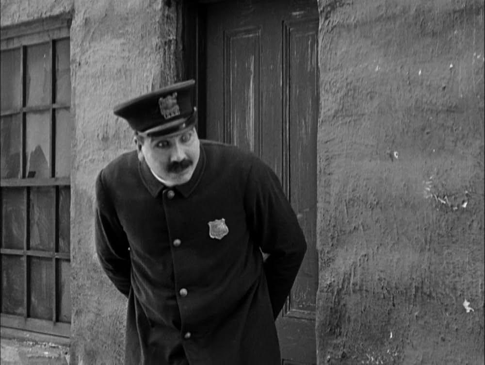 犬の生活の画像