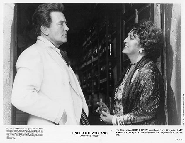 火山のもとでの画像