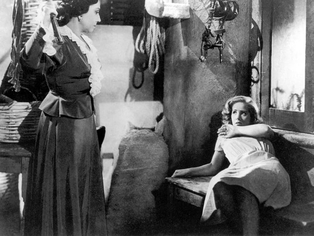 スサーナの画像