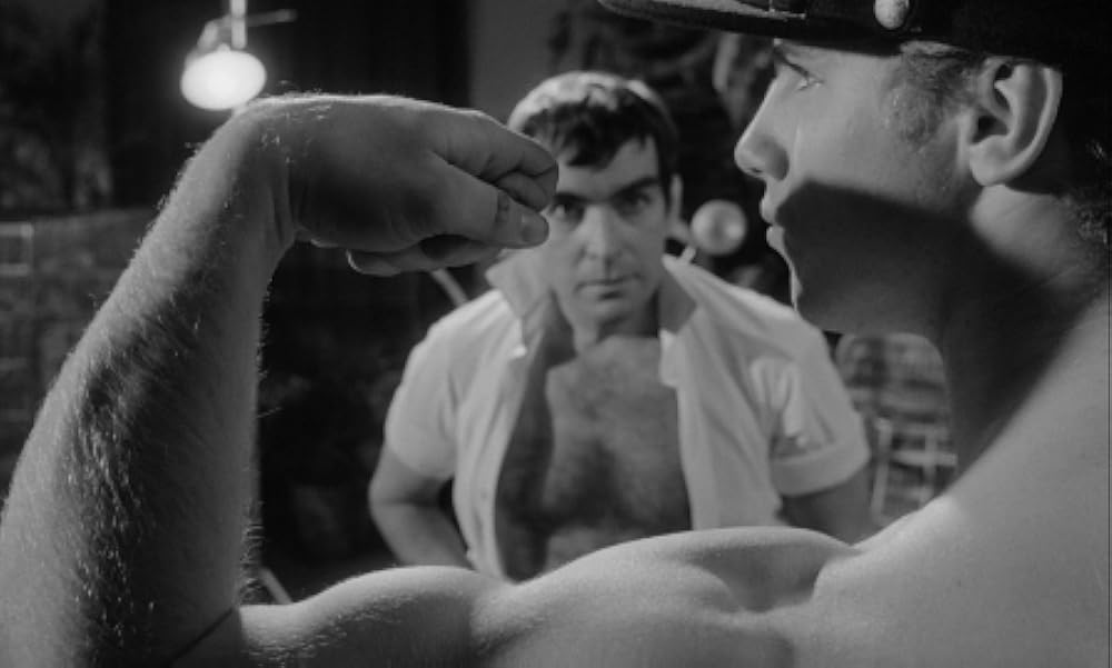 夜のたわむれの画像