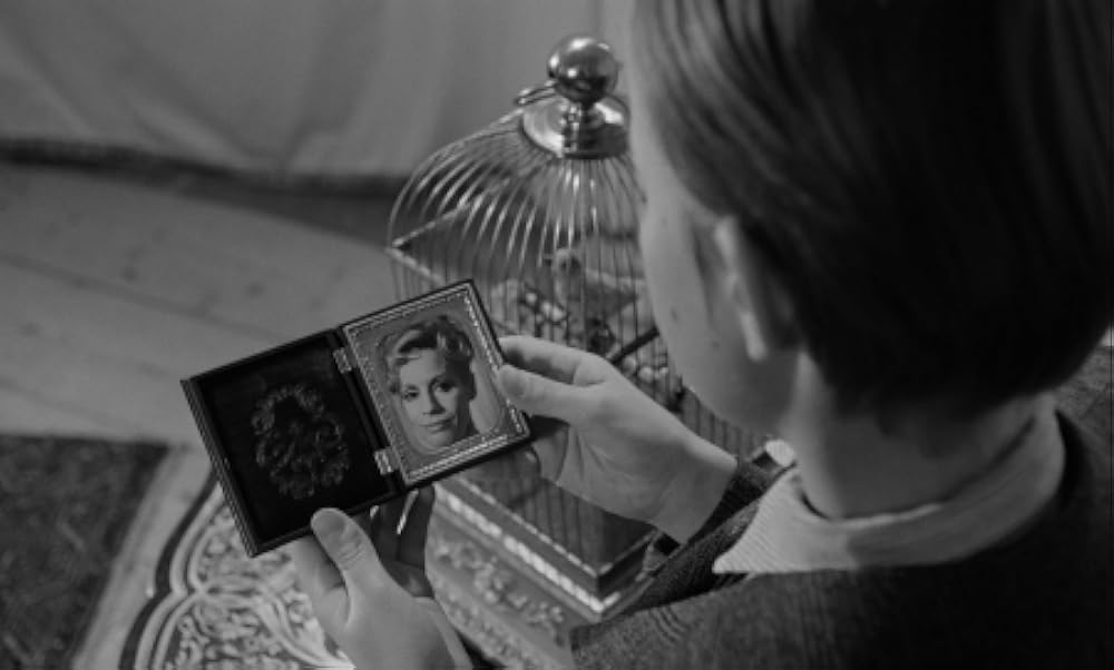 夜のたわむれの画像