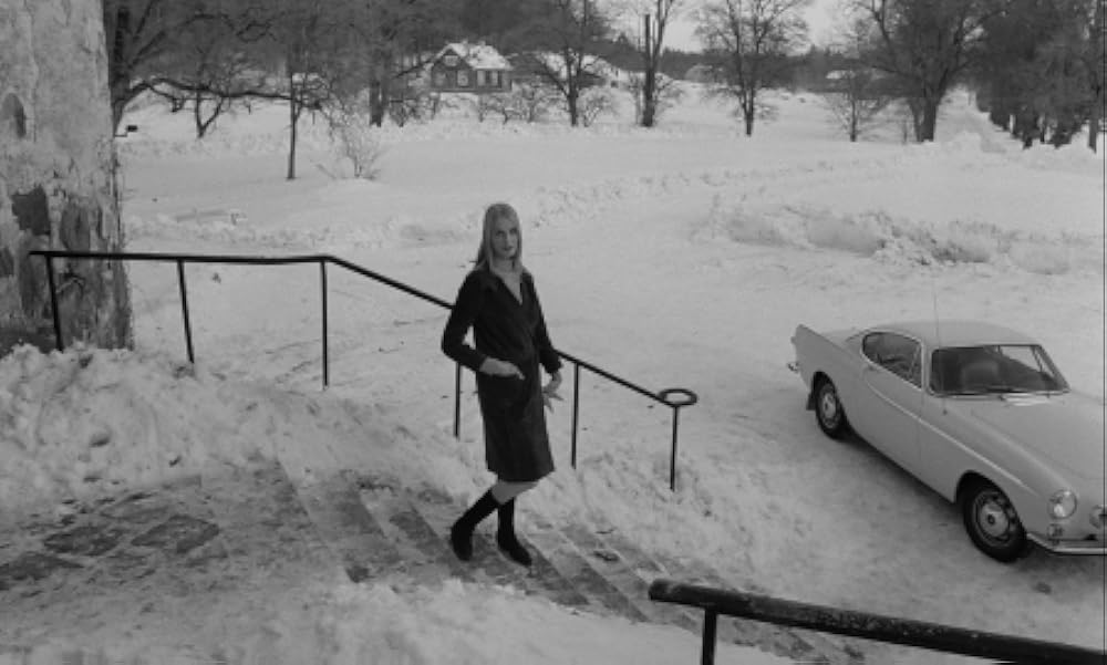 夜のたわむれの画像