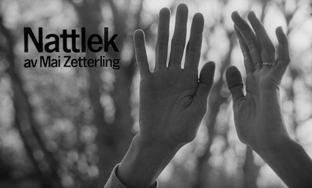 夜のたわむれの画像