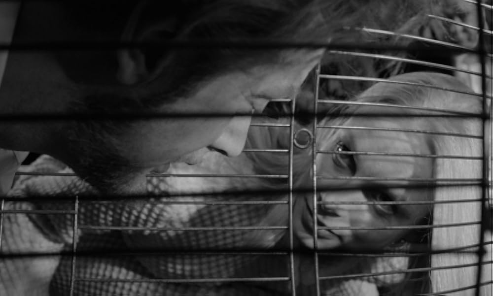 夜のたわむれの画像