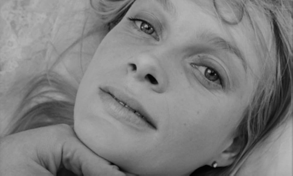 夜のたわむれの画像