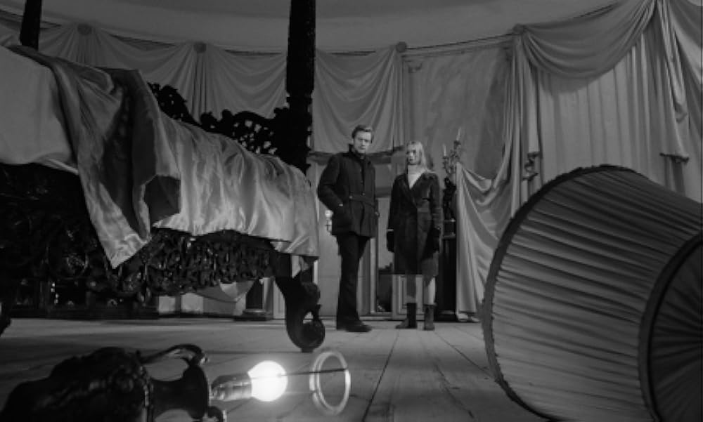 夜のたわむれの画像