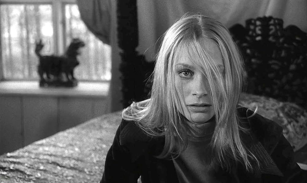 夜のたわむれの画像