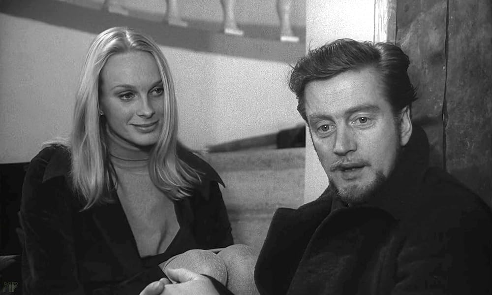 夜のたわむれの画像