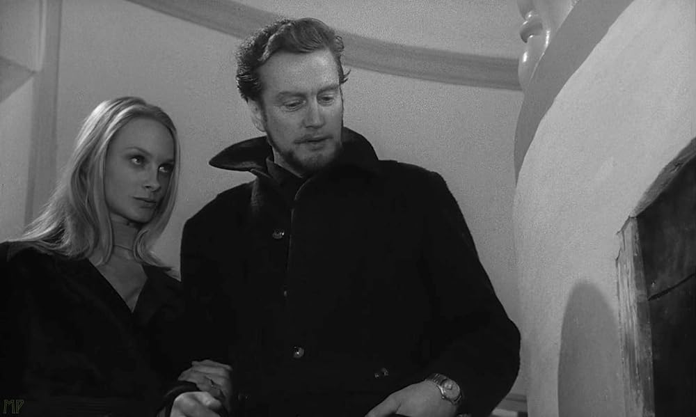 夜のたわむれの画像