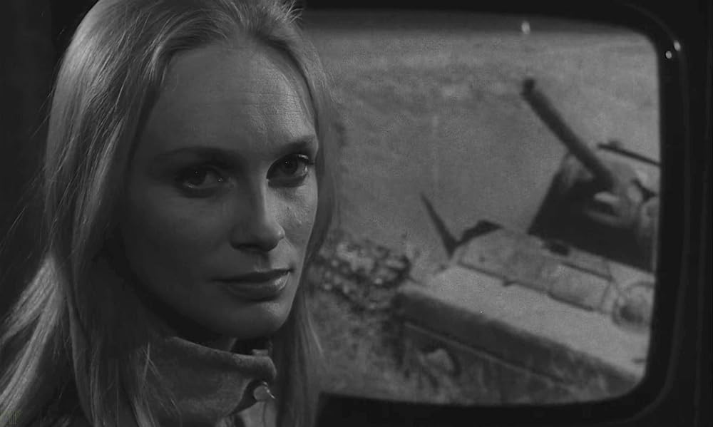 夜のたわむれの画像