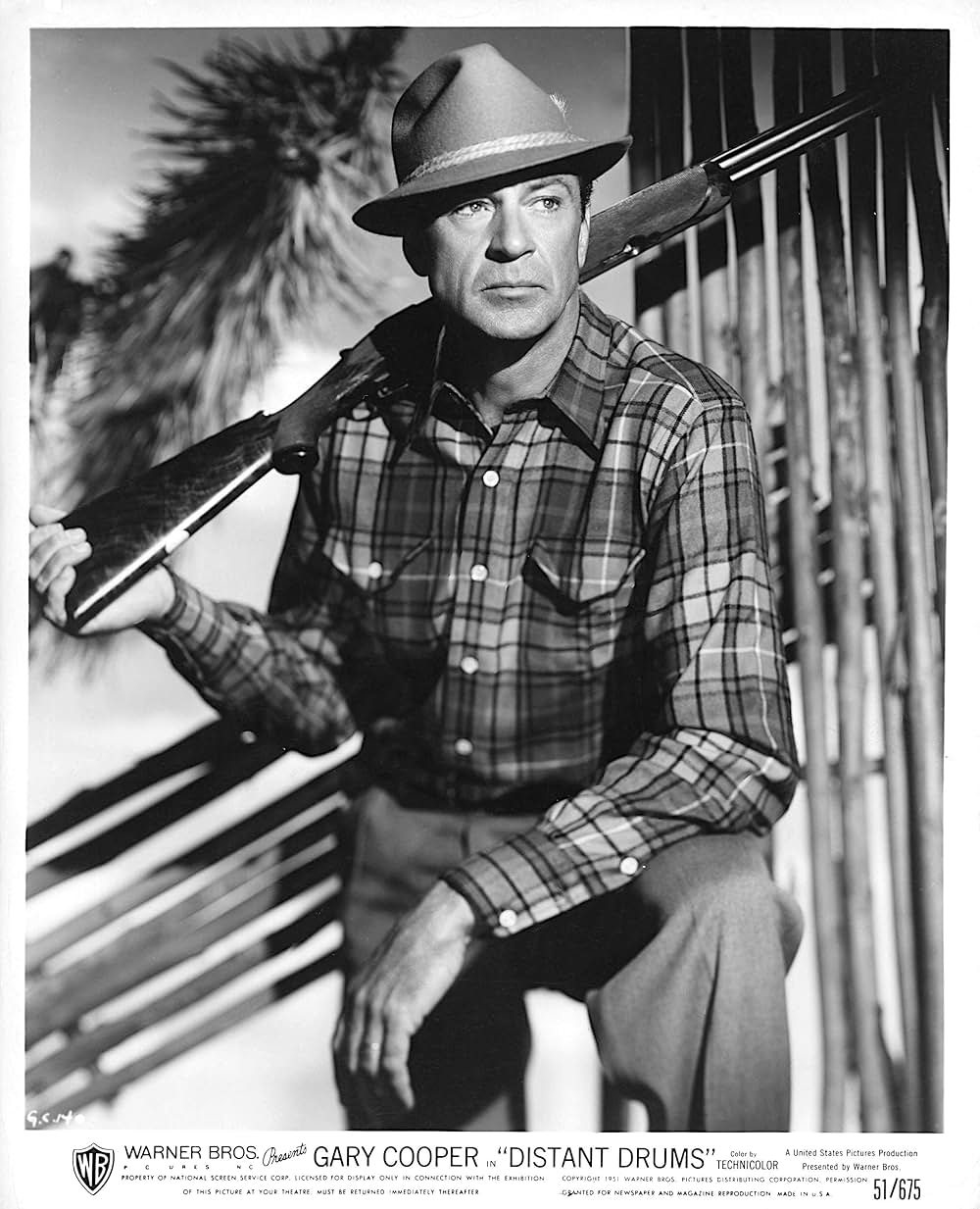 遠い太鼓の画像