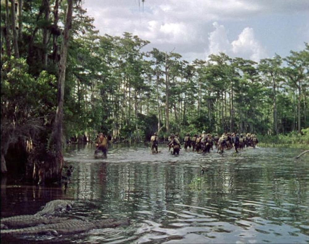 遠い太鼓の画像