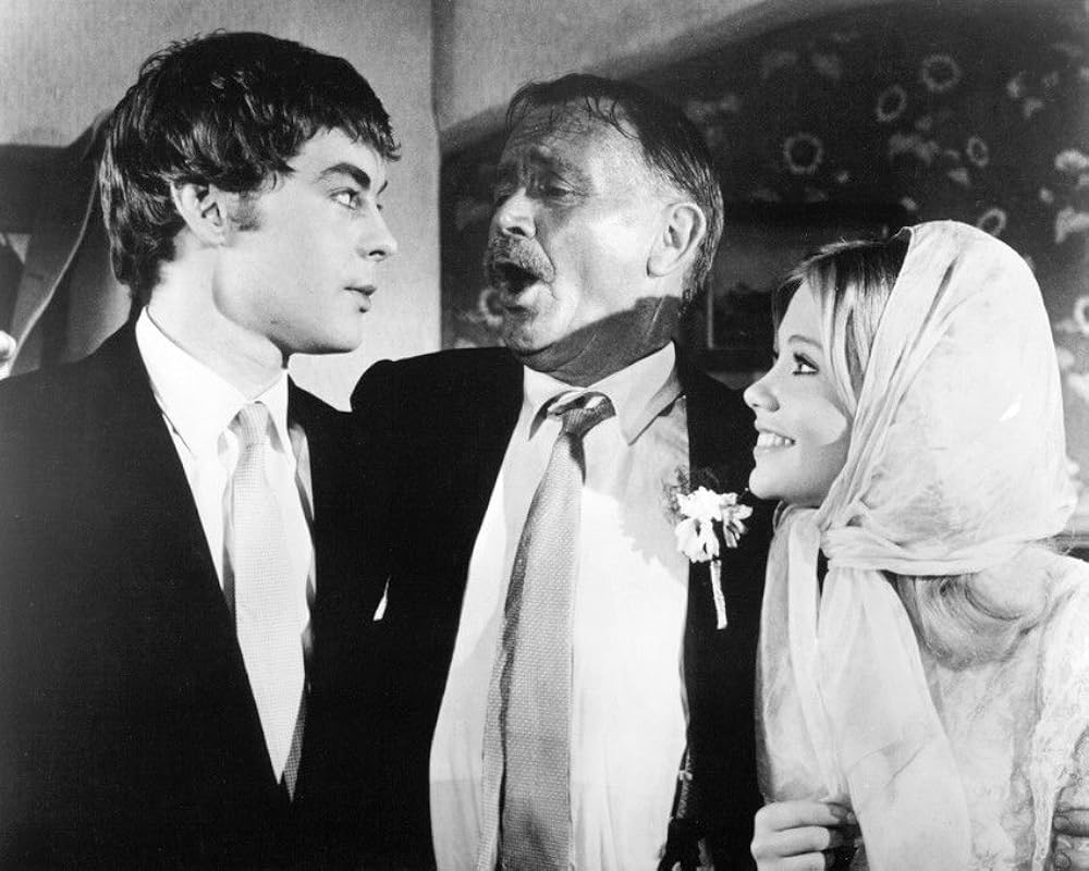 ふたりだけの窓の画像