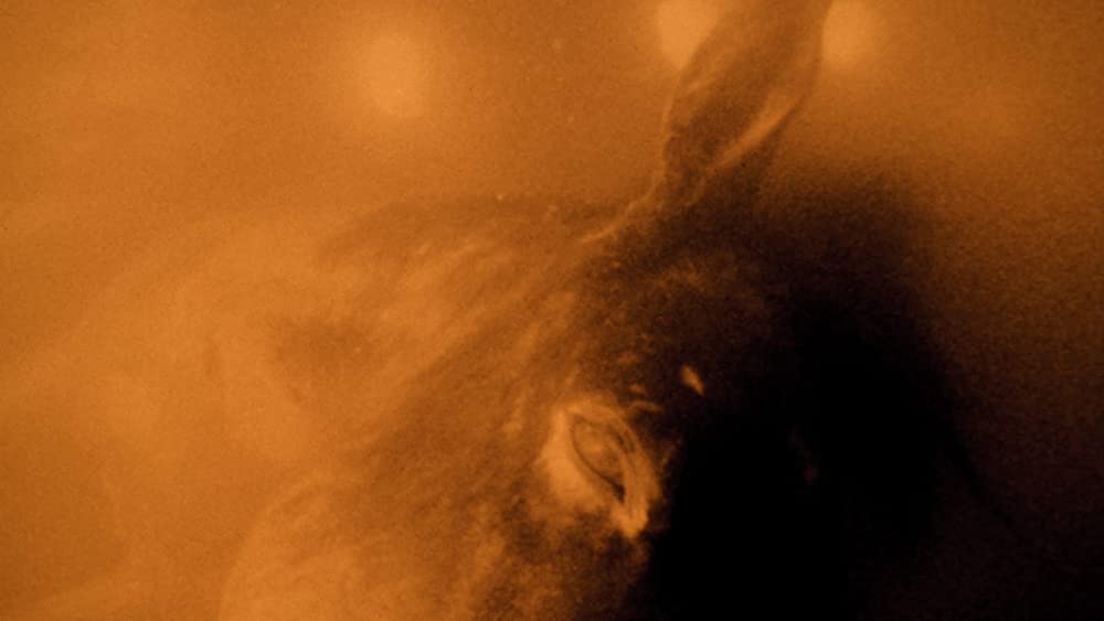 エレメント・オブ・クライムの画像