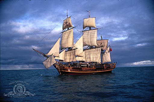 バウンティ／愛と反乱の航海の画像