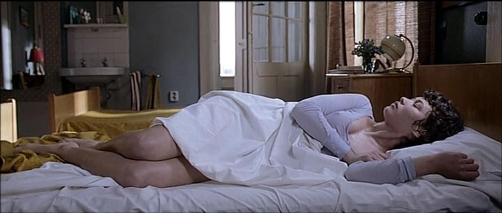 薬指の標本の画像